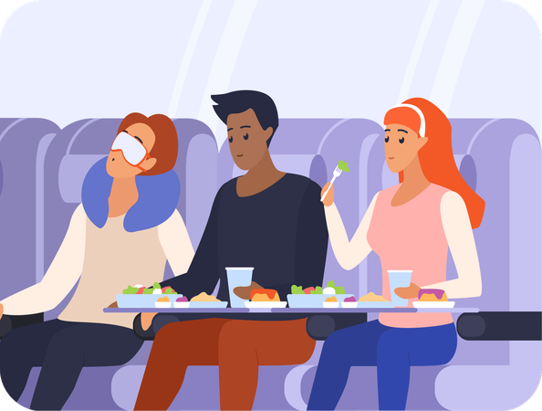 Passenger on flight  Illustration