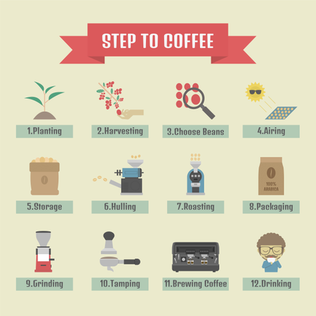 Passo a passo, do feijão à xícara, infográfico de café  Illustration