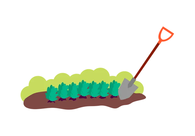 Patch of brown soil with plants and shovel Illustration