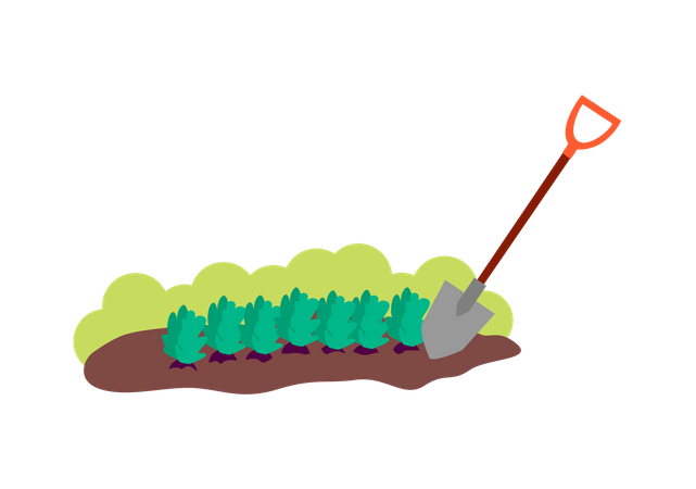 Patch of brown soil with plants and shovel  Illustration