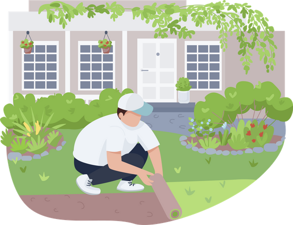 Enverdecimiento del patio, cuidado del césped  Ilustración