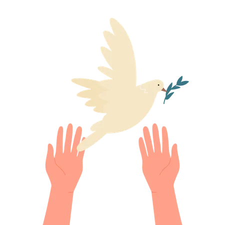 Peace Bird  Illustration