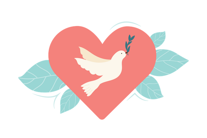 Peace Dove  Illustration