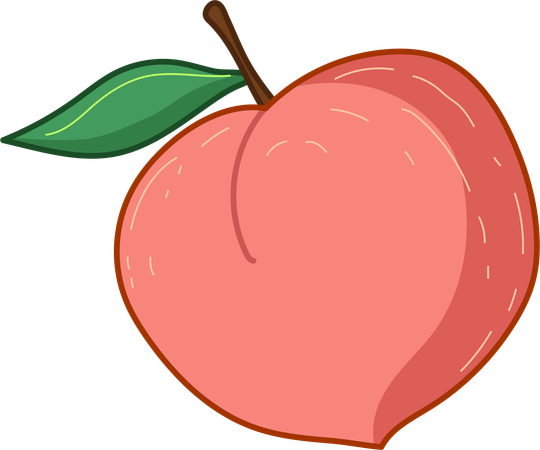 Peach Perfection  Illustration
