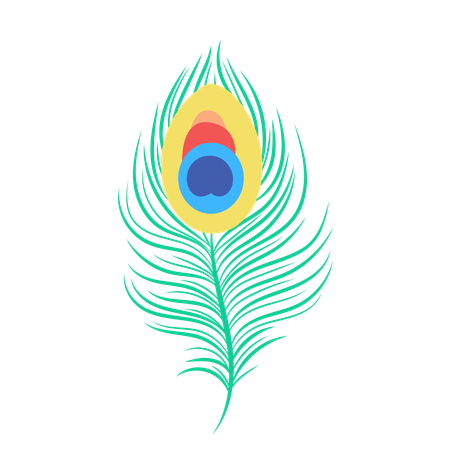 Peacock feather indian holiday  Illustration