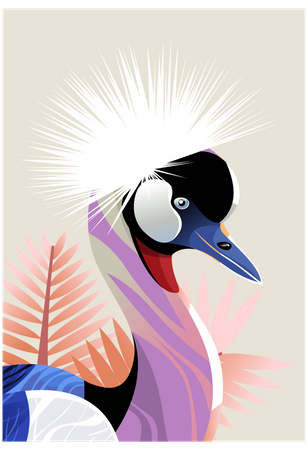 Peafowl Illustration