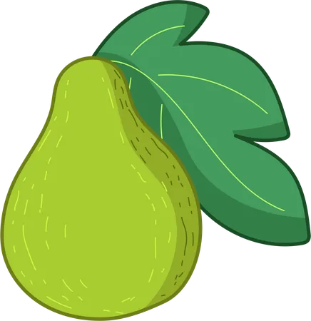 A Vibrant Illustration Of A Ripe Pear Showcasing Its Smooth Green Skin And Lush Attached Leaves The Subtle Texturing Highlights The Pears Fresh And Juicy Nature Perfect For Culinary And Educational Uses Illustration