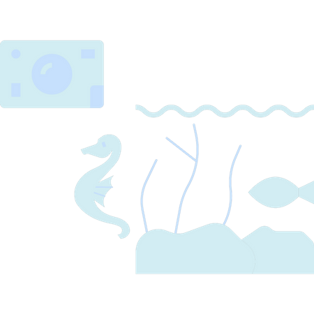 Pêche  Illustration