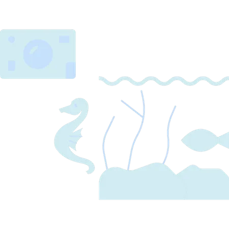 Pêche  Illustration