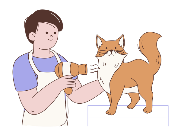 Peluquero secando gatos  Ilustración