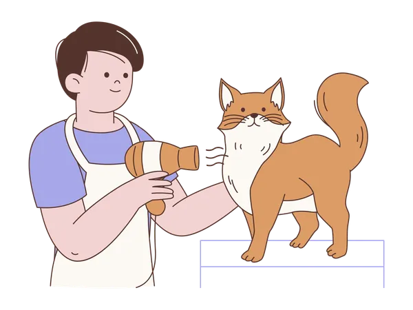 Peluquero secando gatos  Ilustración