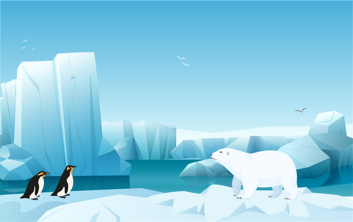 Penguin at Antarctica  Illustration