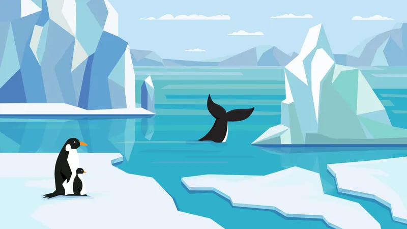 Penguin At Antarctica  Illustration