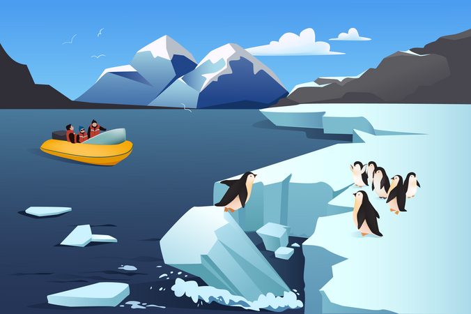 Penguin At Antarctica  Illustration