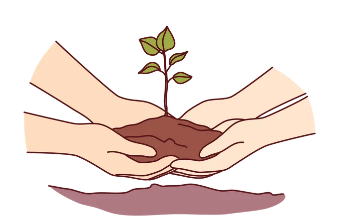 People Hands With Tree Sprout In Ground As Metaphor For Environmental Activism And Concern For Nature Two People Plant Tree Together In Ground In Backyard Wanting To Create Scenic View From Window Illustration