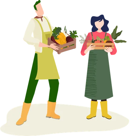 People collecting fresh fruits from garden  Illustration