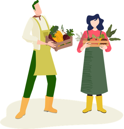 People collecting fresh fruits from garden  Illustration