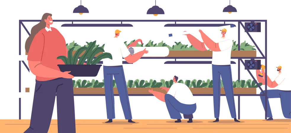 Characters Construct Racks For Growing Microgreens Collaborating To Assemble The Structures Efficiently The Teamwork Ensures Proper Setup For Cultivating Nutritious Greens Vector Illustration イラスト