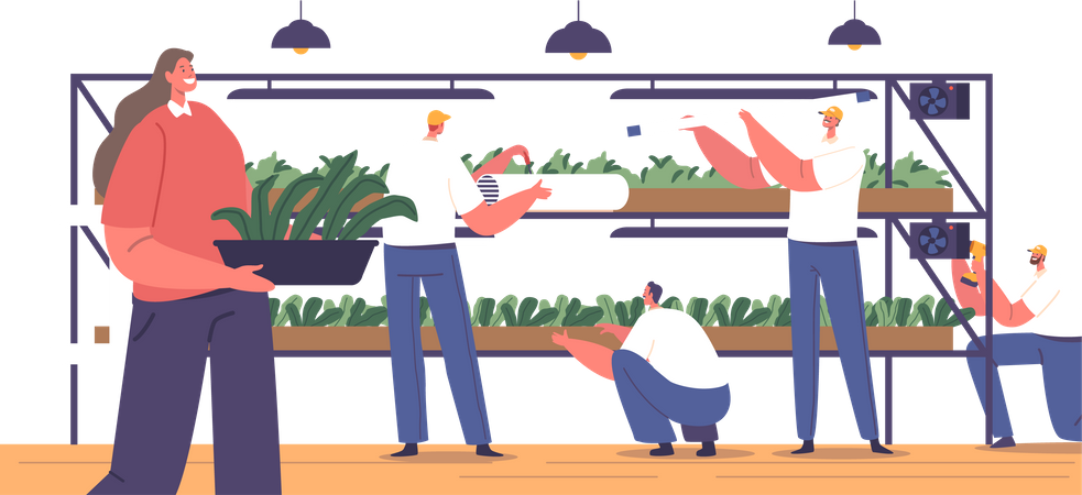 People Construct Racks For Growing Microgreens  イラスト