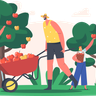 illustration harvesting fresh apples