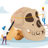 anthropology skull illustration