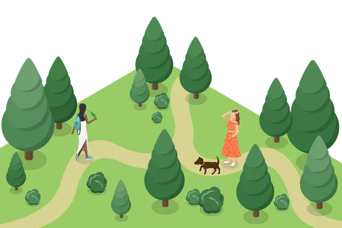 3 D Isometric Flat Vector Conceptual Illustration Of Walking In Forest Summer Nature Landscapes Illustration