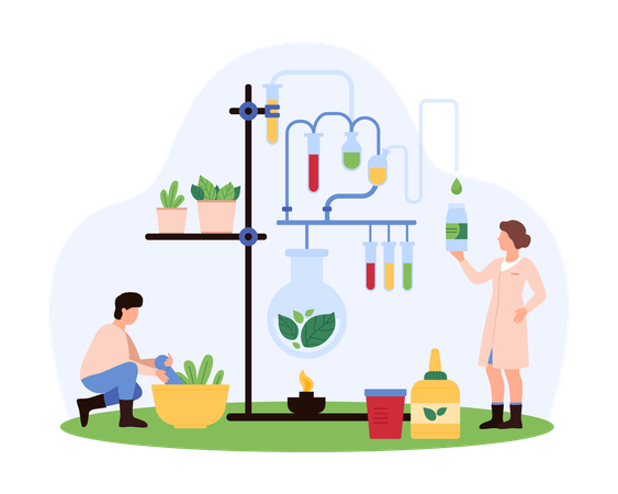 People working on Herbal Medicine Research  Illustration