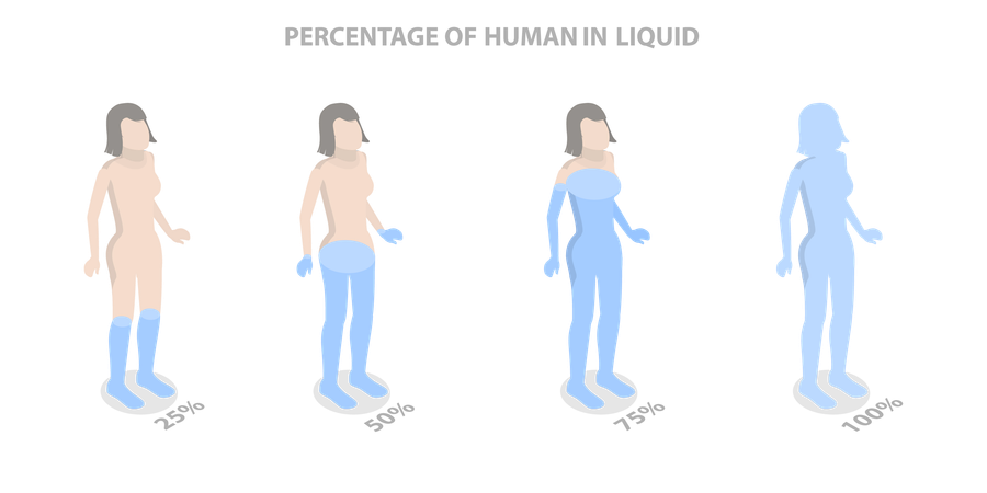 Percentage Of Liquid in Human  Illustration