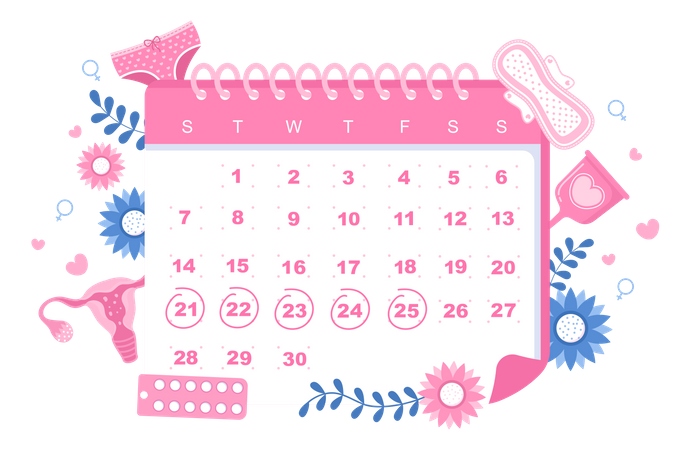 Period Calendar Illustration