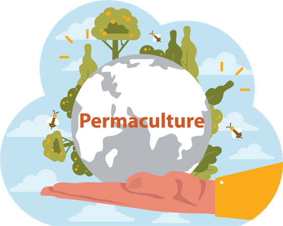 Gestion des terres en permaculture  Illustration