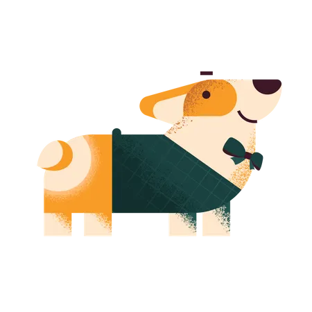 Perro corgi en suéter y pajarita  Ilustración