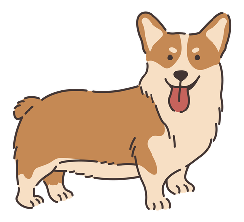 Perro corgi galés  Ilustración