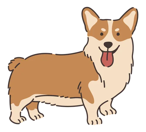 Perro corgi galés  Ilustración