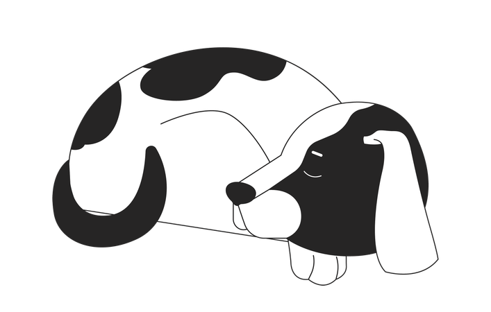 Perro beagle dormido acurrucado  Ilustración