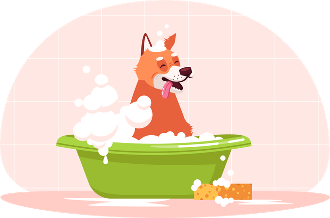 Perro en el baño  Ilustración