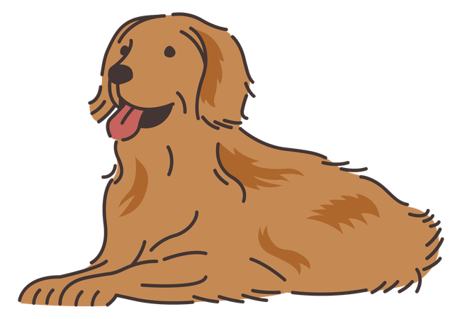 Perro golden retriever  Ilustración