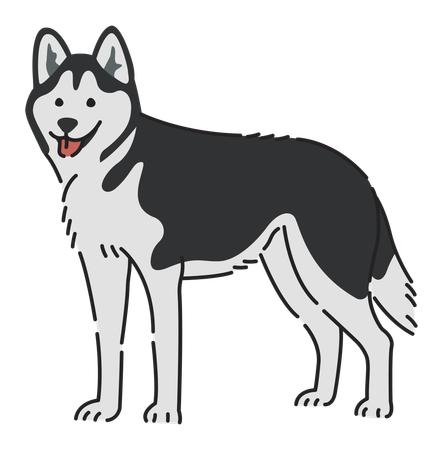 Perro husky siberiano  Ilustración