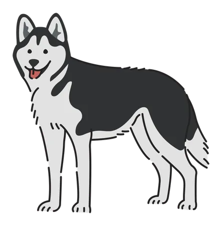 Perro husky siberiano  Ilustración