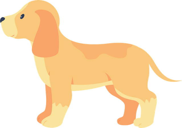 Perro labrador  Ilustración