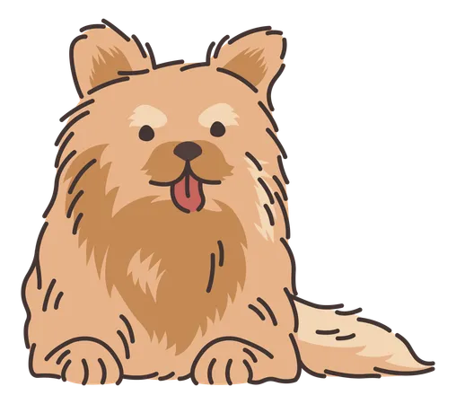 Perro pomerania  Ilustración