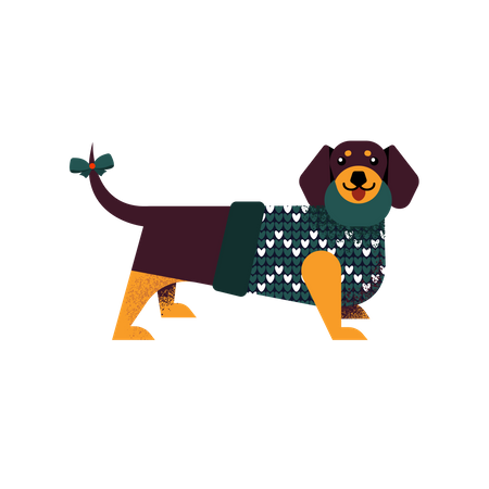 Perro salchicha con un suéter  Ilustración