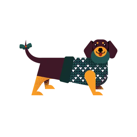Perro salchicha con un suéter  Ilustración