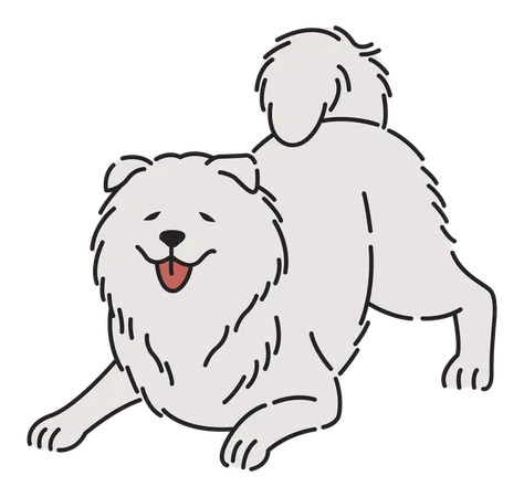 Perro samoyedo  Ilustración