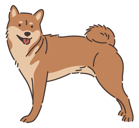 Perro Shiba Inu  Ilustración