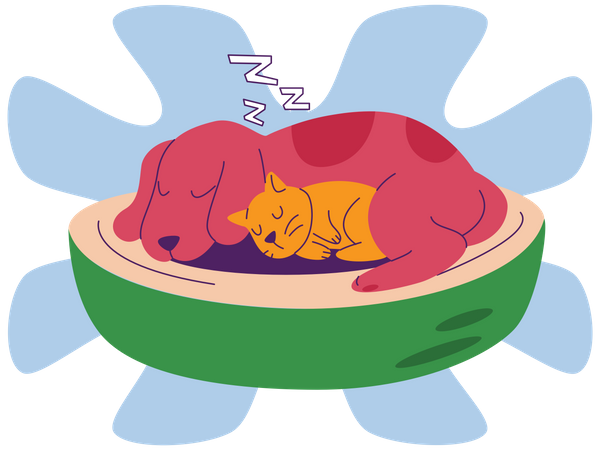 Perro y gato durmiendo juntos  Ilustración