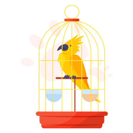 Perroquet jaune en cage  Illustration
