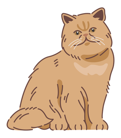 Persian cat  Illustration