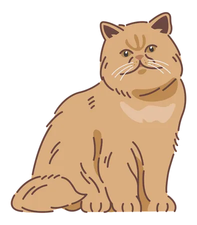 Persian cat  Illustration