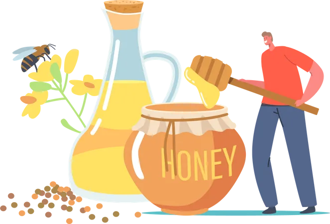 Organic Natural Food Tiny Beekeeper Character Holding Huge Dipper With Rapeseed Canola Honey Near Glass Jar With Oil Male Character Extract Bee Production For Eating Cartoon Vector Illustration Illustration