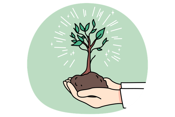 Person holding tree in soil in hands  Illustration